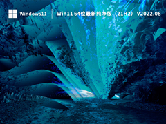 Win11 64位最新纯净版（21H2） V2022.08