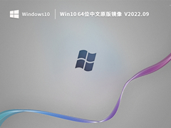 Win10 64位中文原版镜像  V2022.09
