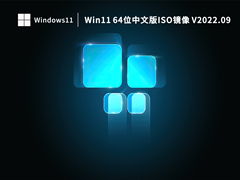 Win11 64位中文版ISO镜像 V2022.09