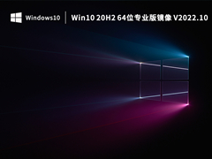 Win10 20H2 64位专业版镜像 V2022.10