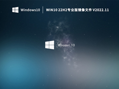 Win10 22H2专业版镜像文件 V2022.11