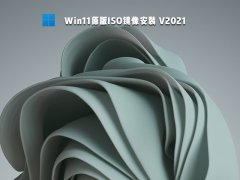 Win11原版ISO镜像安装 V2023