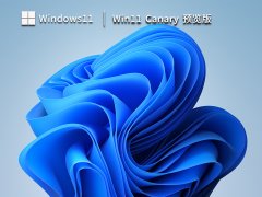 Win11 Canary预览版 V25314.1000