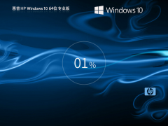 【惠普通用】惠普 HP Windows10 64位 专业装机版