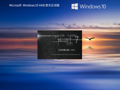 Windows10 22H2 19045.4651 X64 官方正式版