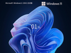 Windows11 23H2  X64 官方正式版