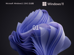 【为弹性办公设计】Windows11 23H2 64位 免费企业版