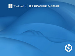 惠普笔记本Win11 64位专业版