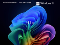 【CAD/动画/媒体制作】Windows11 24H2 64位 专业工作站版