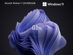 Windows11 23H2 64位 纯净企业版系统