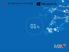 萝卜家园 Windows10 64位 多驱动专业版