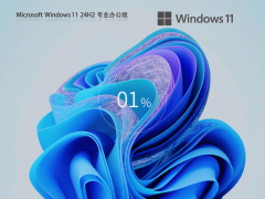 【系统之家】Windows11 24H2 Office 365 办公专业版