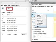 Win10系统如何查看照片查看器的进程