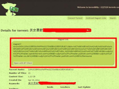 TorrentKitty打不开怎么办？