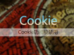Win7系统如何启用浏览器的cookie功能？