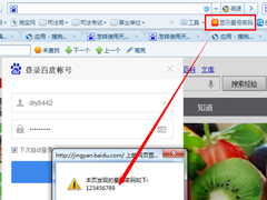 Windows7如何查看网页星号密码？