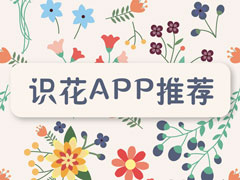 识花软件哪个好？2018识花APP推荐