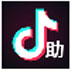抖音助手 V1.0 绿色版