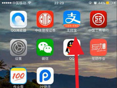 支付宝怎么查四六级？快速查询四六级成绩的方法