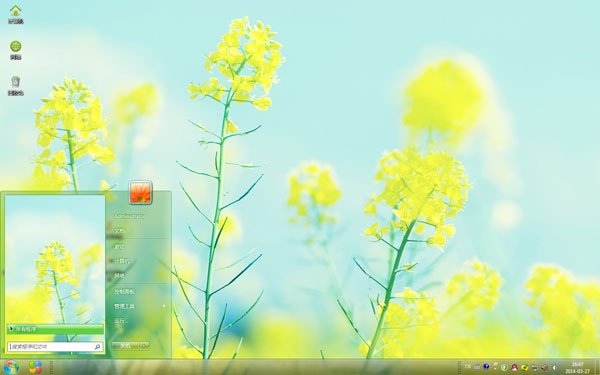 清新油菜花win7桌面主题