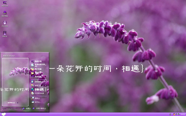 紫色花开相遇xp主题
