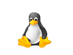 在Linux中出现mount:Structure needs cleaning报错该怎么办？