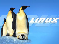 Linux中删除带有空格名的文件夹的步骤