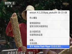 Mac中查看Flash Player版本号的三种方法