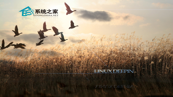  Linux变量参数$的含义