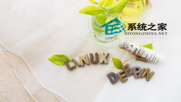 Linux系统如何制作Video