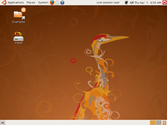 Ubuntu 8.04 标准版（64位）