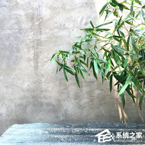 苹果推出“光影漫步”活动，教你用iPhone拍出好照片