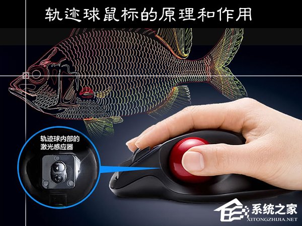 轨迹球鼠标好用吗?轨迹球鼠标的原理和作用解析