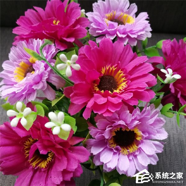 疑似魅蓝X拍照样张曝光：拍照水平完爆荣耀8