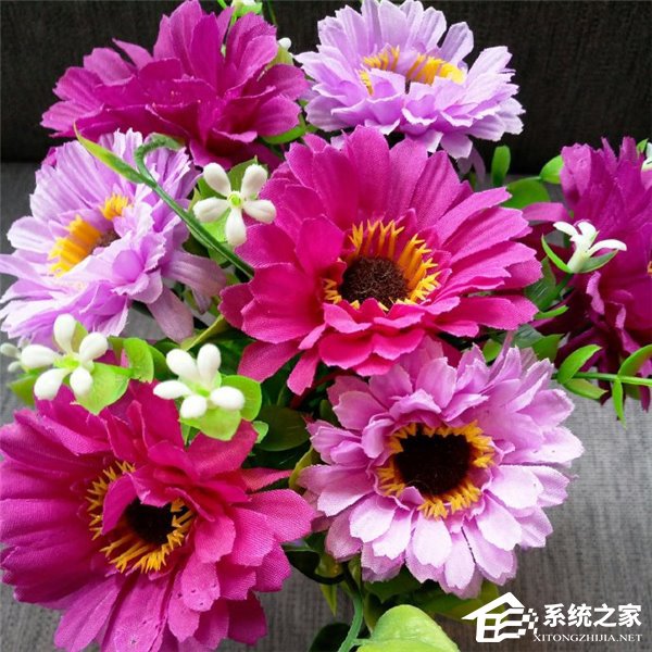 疑似魅蓝X拍照样张曝光：拍照水平完爆荣耀8