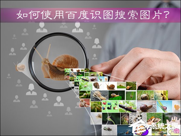 如何使用百度识图搜索图片？百度识图怎么用？