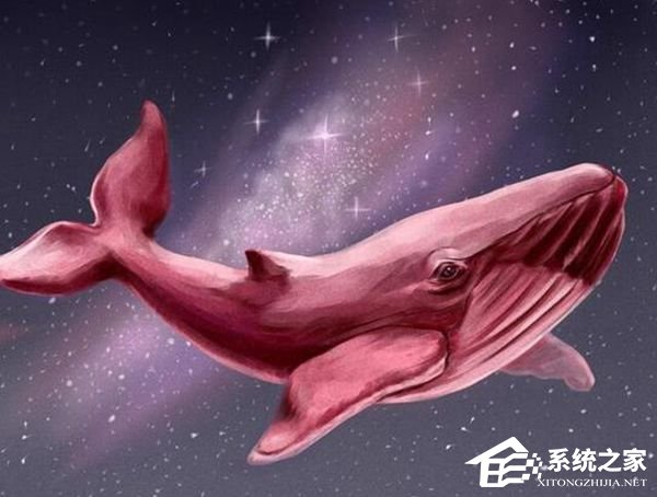 专家推出治愈系“粉鲸”游戏：抵制蓝鲸游戏