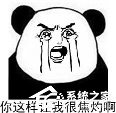 国产病毒“火球”爆发：全球20%电脑遭受Fireball病毒感染