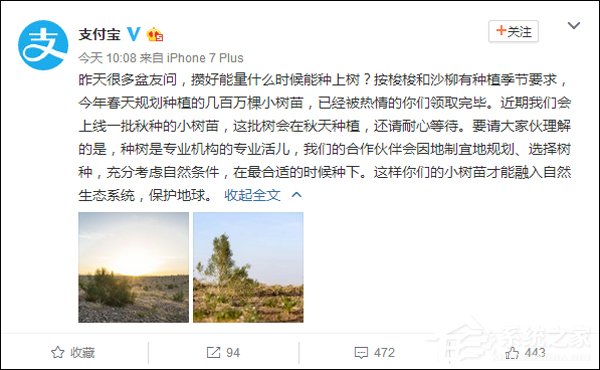 攒好能量却没树种了？支付宝官方：会在秋天种植