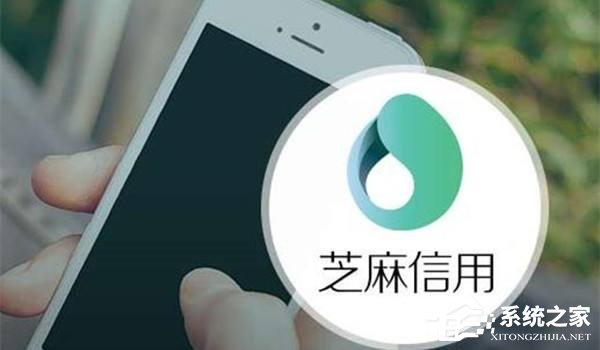 芝麻信用分今天更新：有人超过1400分了！