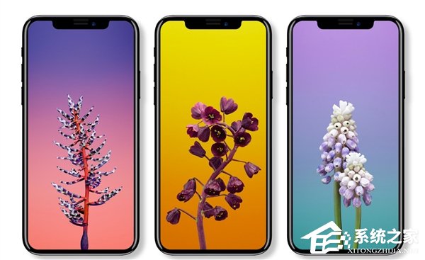 iPhone X性能配置曝光：暴强A11！