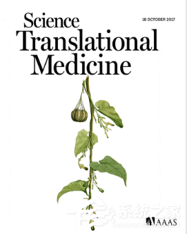 百度回应“百度百科把强致癌物说成抗癌物”：已修复