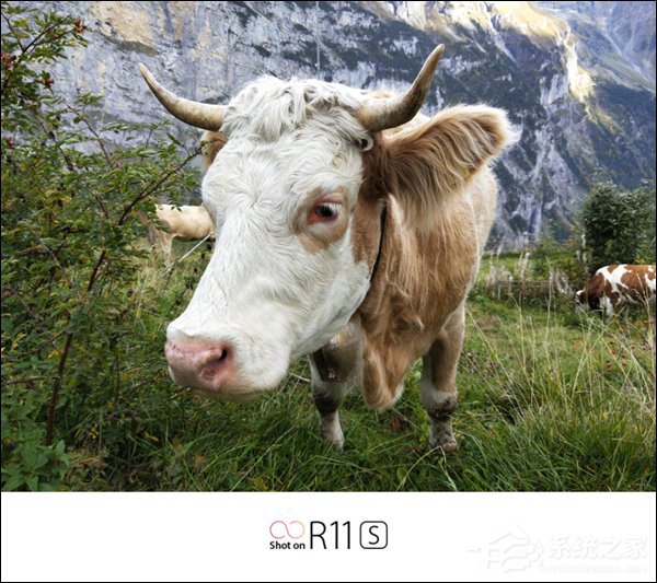OPPO R11s怎么样?OPPO R11s爆料汇总