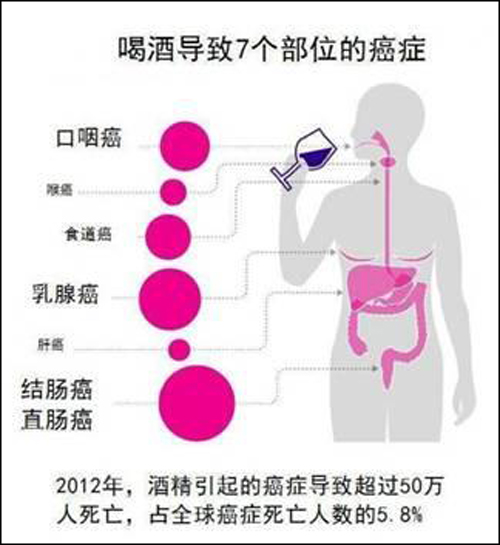 喝白酒能抗癌？揭秘白酒抗癌的真相