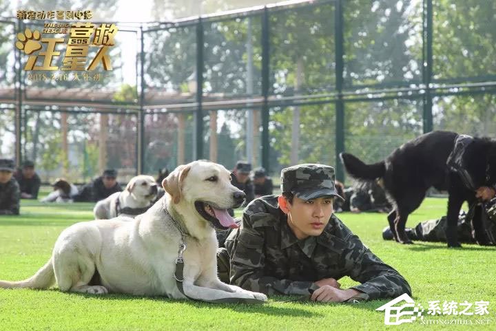 2018春节档电影有什么?2018最新贺岁档电影列表
