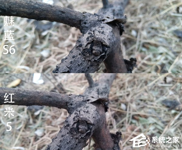 买魅蓝S6还是红米5？红米5和魅蓝S6全面对比评测