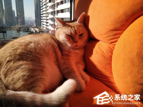 海信H11值不值得买？海信手机H11全面评测