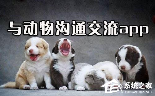宠物翻译软件哪个好？2018宠物翻译软件推荐