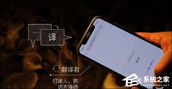 开始养鹅了？腾讯：“AI生态鹅厂”年内将在贵安新区投产运行