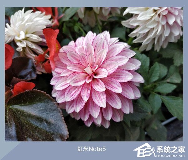360 N7好不好？360 N7、魅蓝E3和红米Note 5对比评测